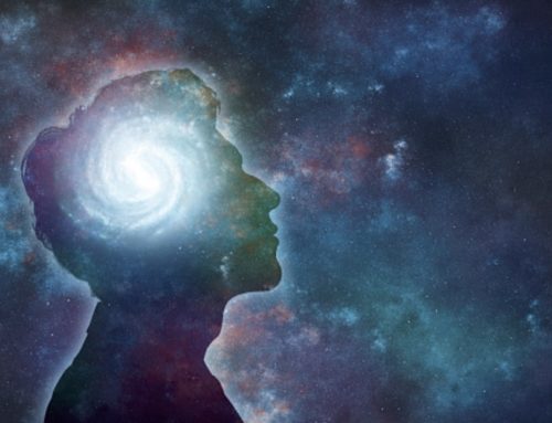 Brains in Space: The Effects of Human Spaceflight on Our Minds
