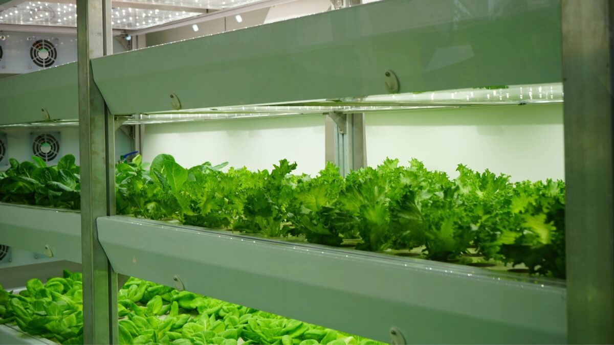 Three Agriculture Technology Innovations That Are 