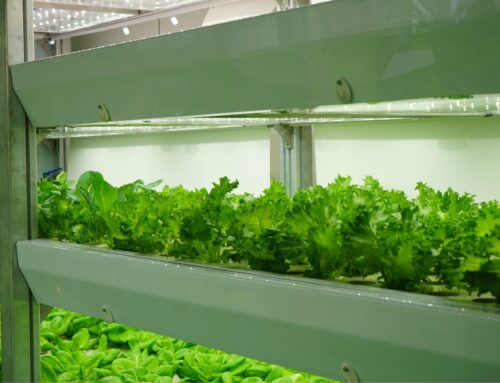 Three Agriculture Technology Innovations That Are “Out of Space”